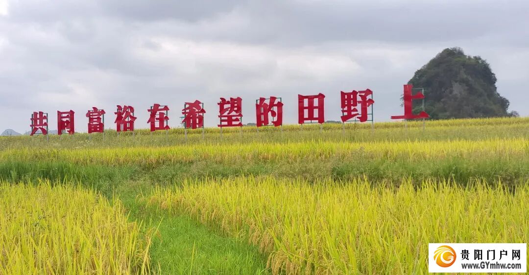 山河为卷，答一场高质量发展的时代之问——平坝区“十四五”时期高质量发展综述(图5)