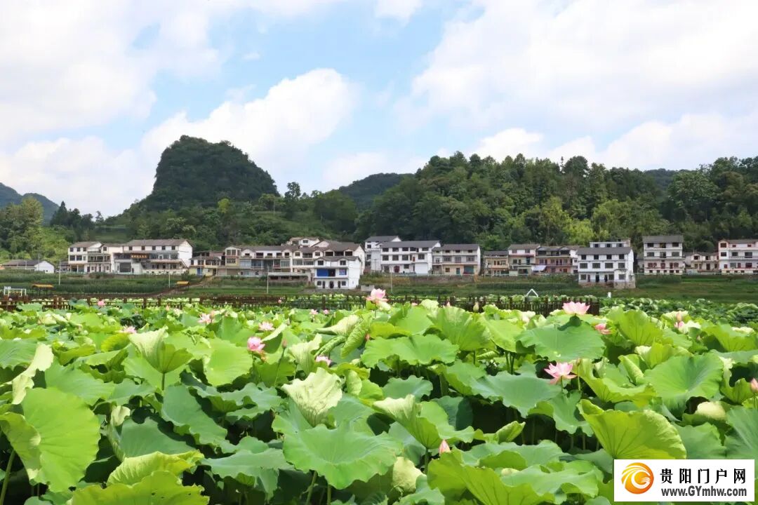 浓墨重彩写华章 奋楫争先势正扬——普定县“十四五”时期高质量发展综述(图6) 浓墨重彩写华章 奋楫争先势正扬——普定县“十四五”时期高质量发展综述(图6)