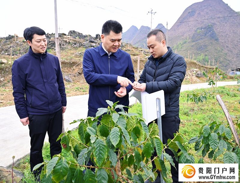 王宏调研贵阳市联系协作罗甸县助力乡村全面振兴工作(图1) 王宏调研贵阳市联系协作罗甸县助力乡村全面振兴工作(图1)