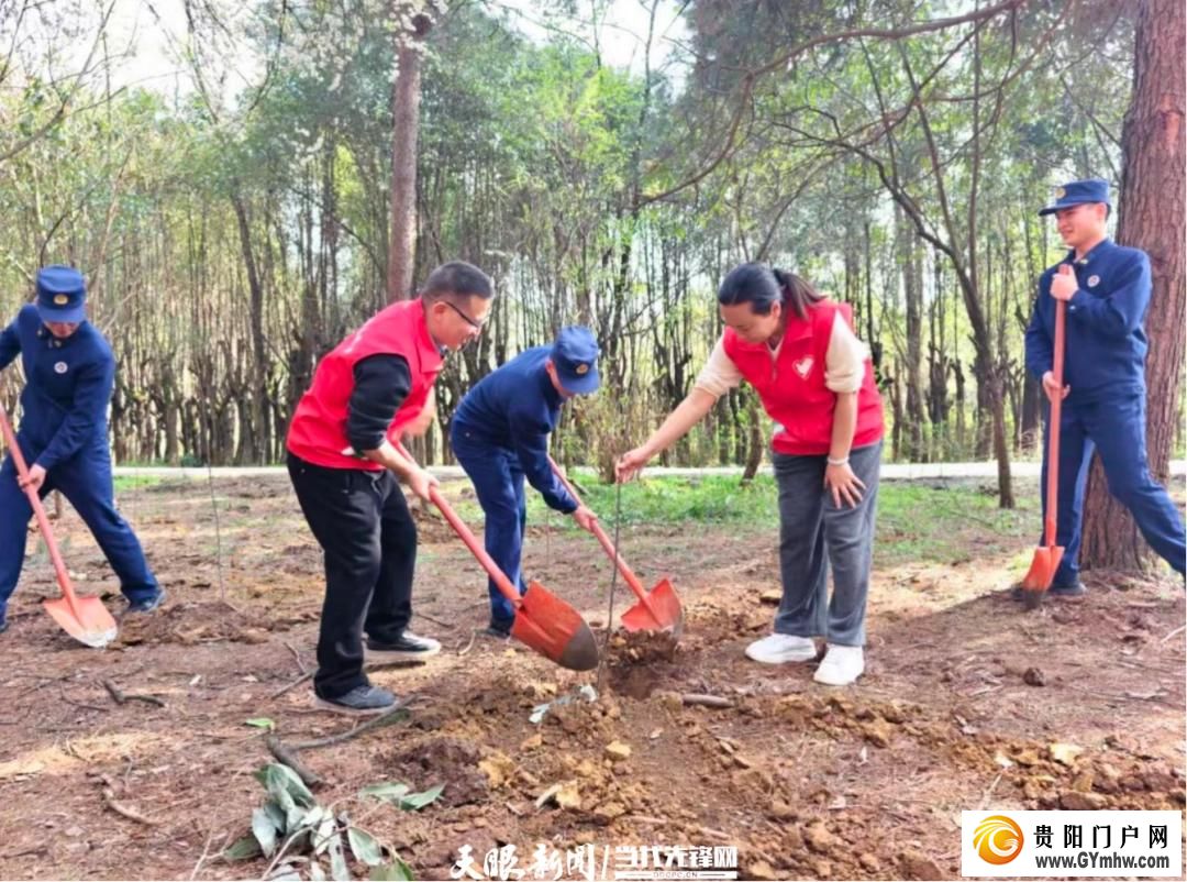 贵阳市白云区开展植树节志愿服务活动(图3) 贵阳市白云区开展植树节志愿服务活动(图3)