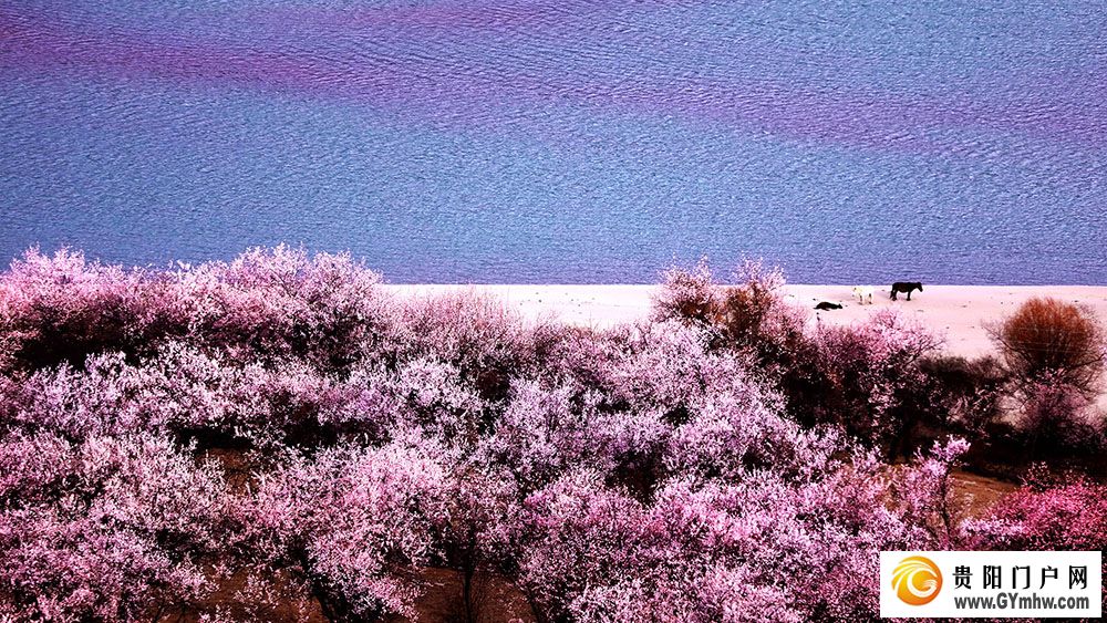 快出发！这些地方陆续美成仙境！(图3)