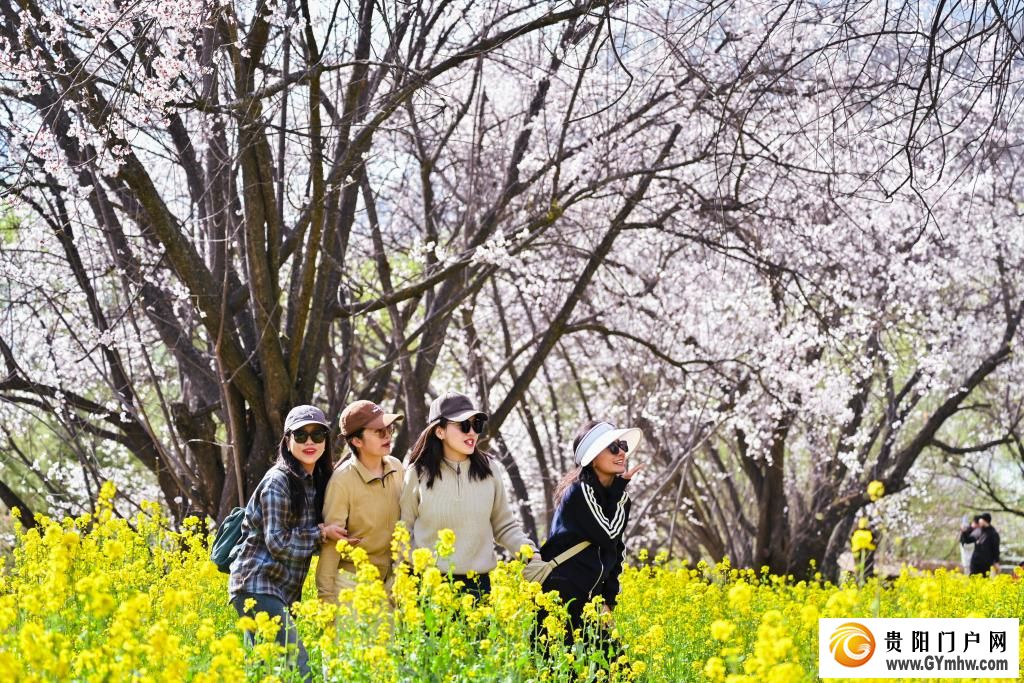 快出发！这些地方陆续美成仙境！(图6)