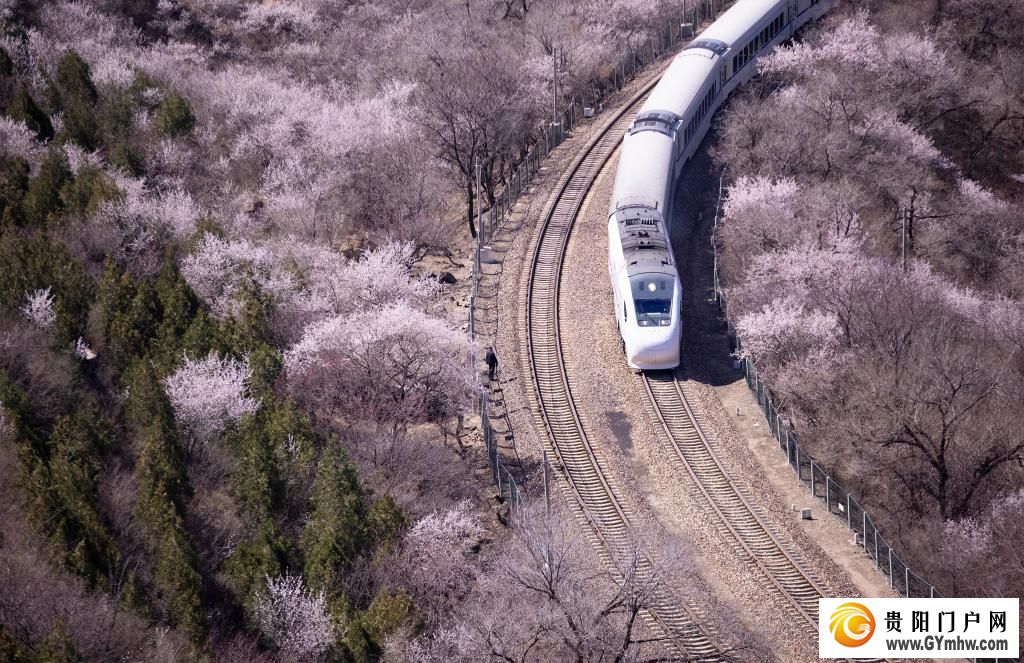 快出发！这些地方陆续美成仙境！(图11)