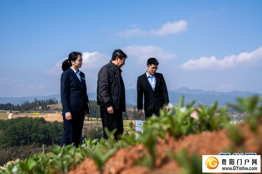 2026年贵州早春茶产销对接会在晴隆举行(图4)