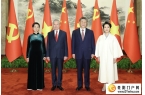 习近平同越共中央总书记、国家主席苏林举行