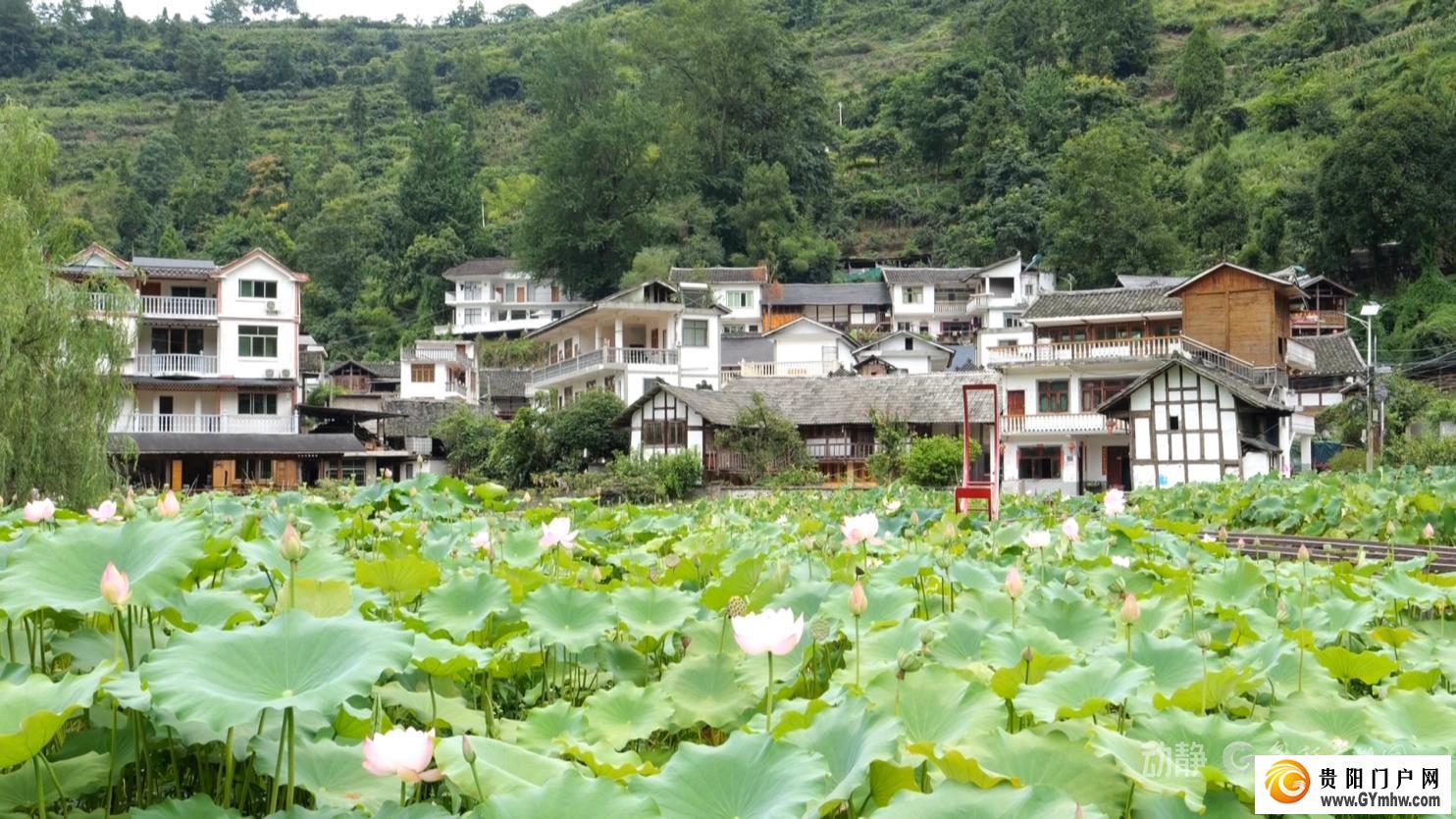 从半日打卡到按月安居 贵阳避暑旅居持续升温(图19) 从半日打卡到按月安居 贵阳避暑旅居持续升温(图19)