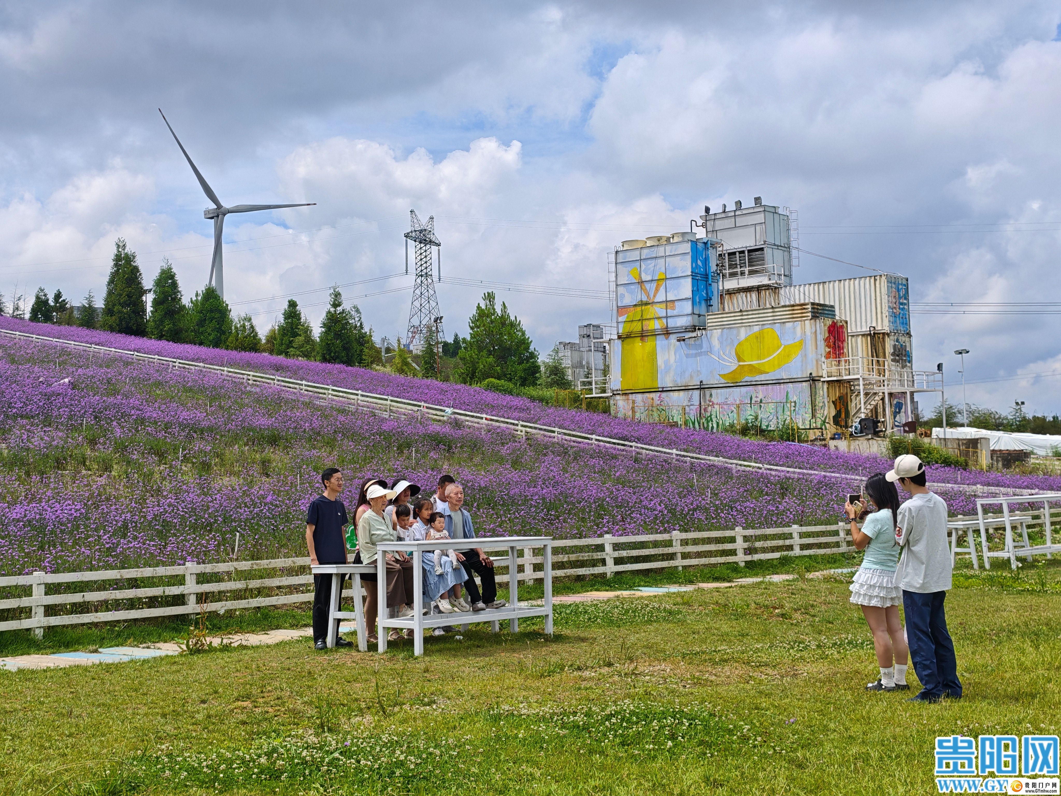 花溪区高坡乡打造云顶花海吸引游客避暑赏花(图4) 花溪区高坡乡打造云顶花海吸引游客避暑赏花(图4)